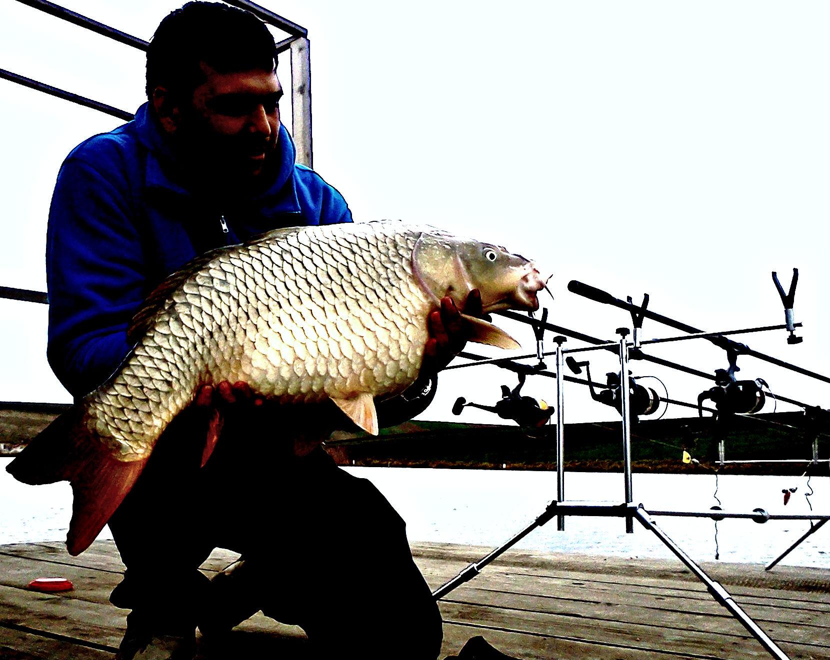 Poze reusite si nereusite - test-1.jpg